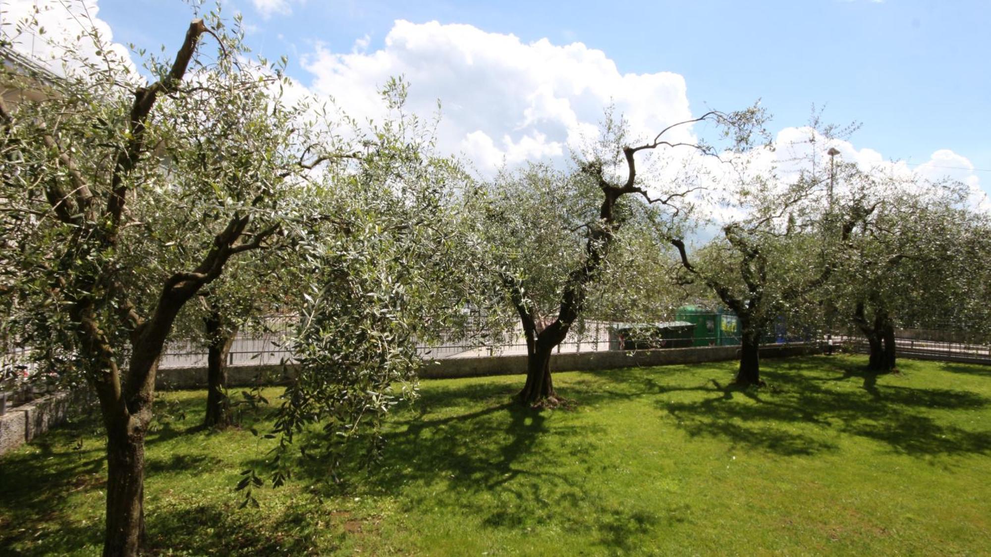 Casa Wanda Since 1999 Riva del Garda